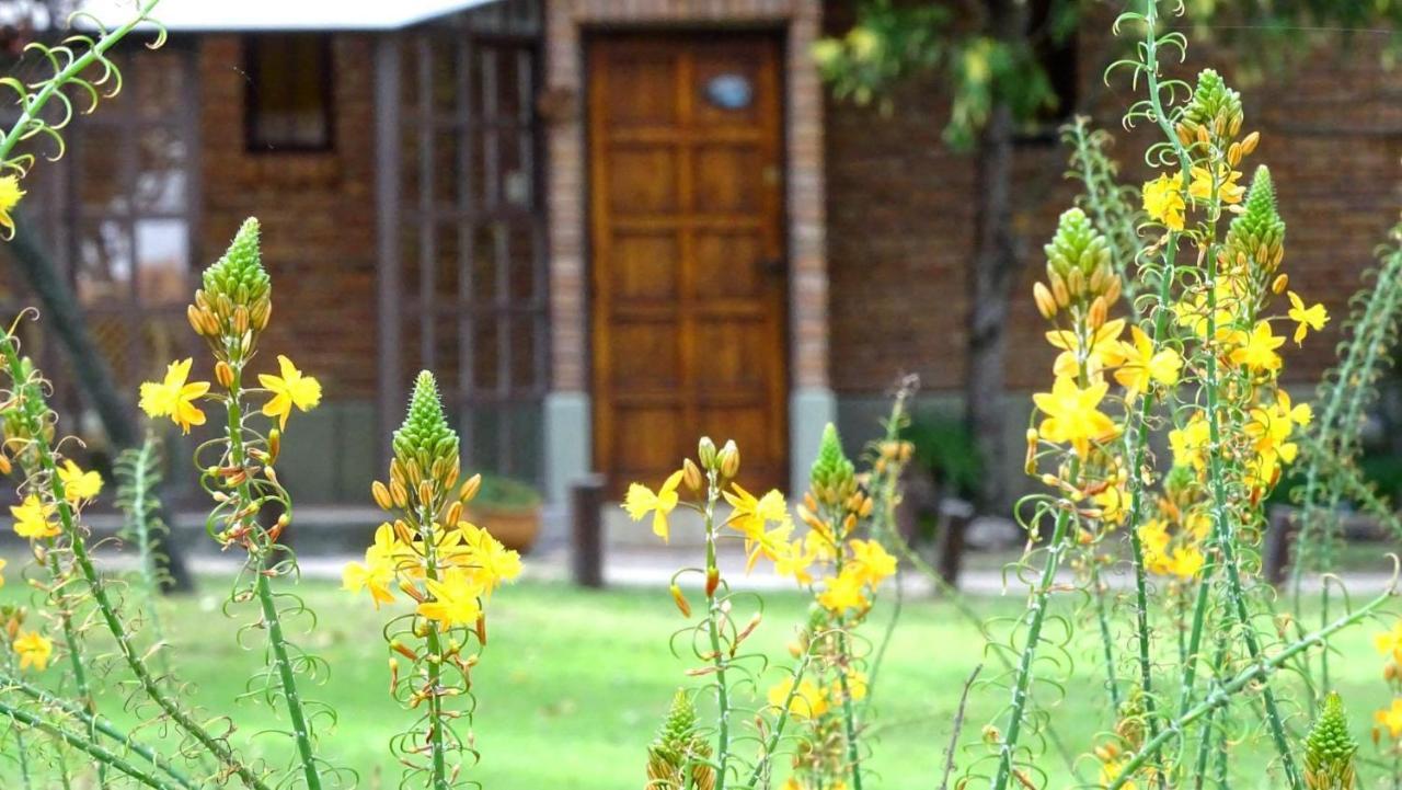 Cabanas Agua Que Brilla มินา กลาเบโร ภายนอก รูปภาพ